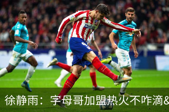 徐静雨：字母哥加盟热火不咋滴&价格卖低了 不如去绿军联手塔图姆